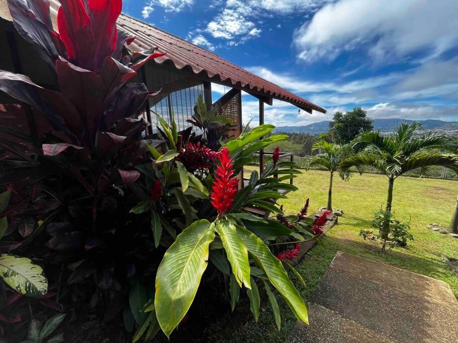 Chalet Zen Bella Vista San Juan  Exterior foto
